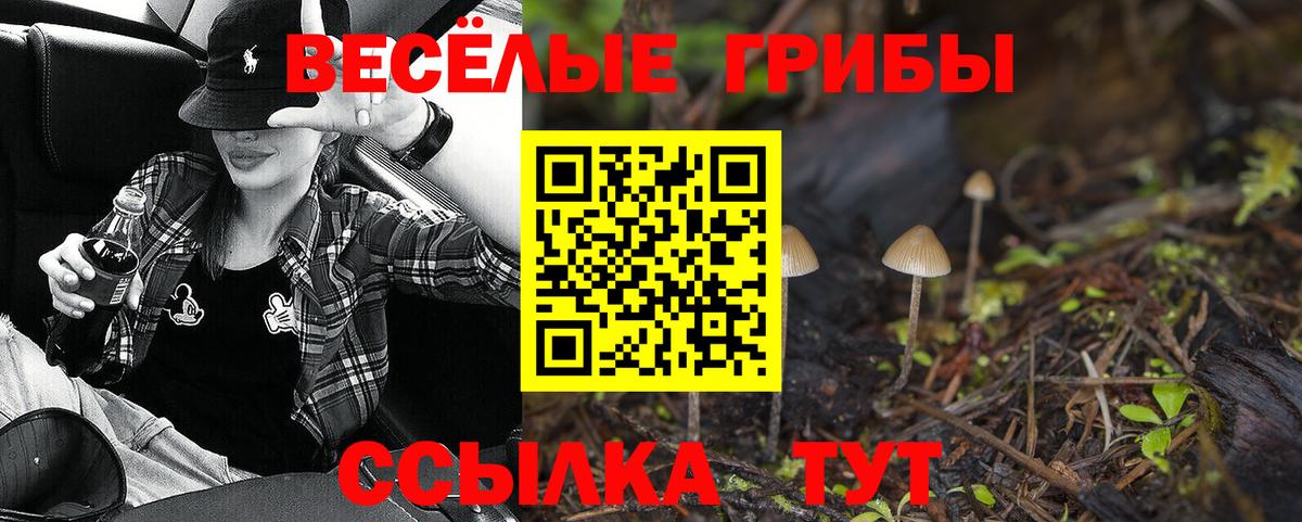 Псилоцибиновые грибы ЛСД  Вход с VPN  закладка  Псилоцибиновые грибы прущие грибы  Балашов 